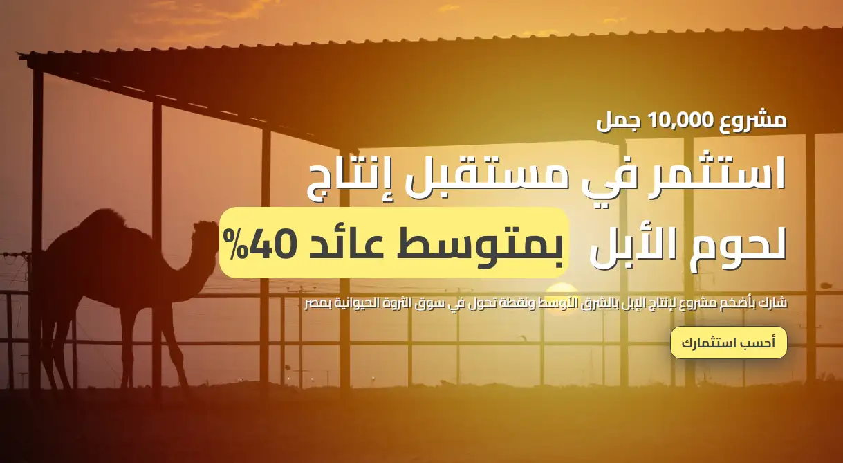  شركة الوطنية الكويتية Watania Kuwatia