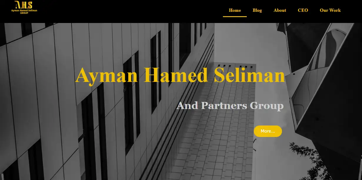  شركة أيمن حامد جروب للاستثمار AHG