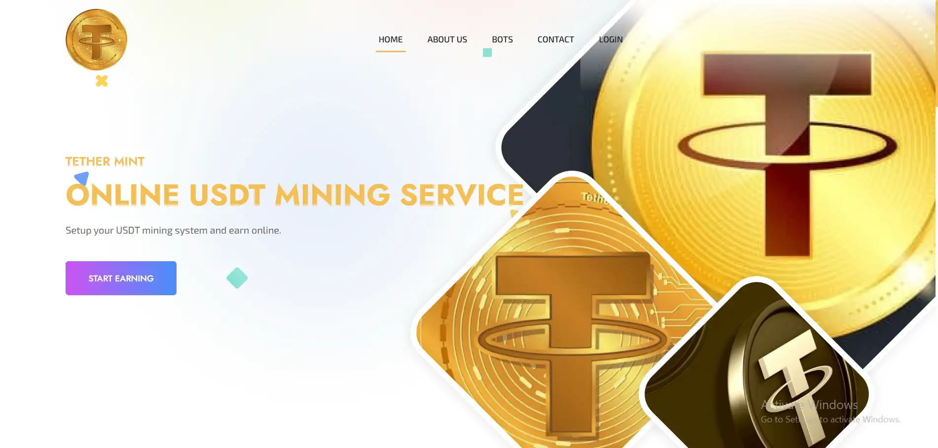 موقع شركة تيثر مينت النصابة